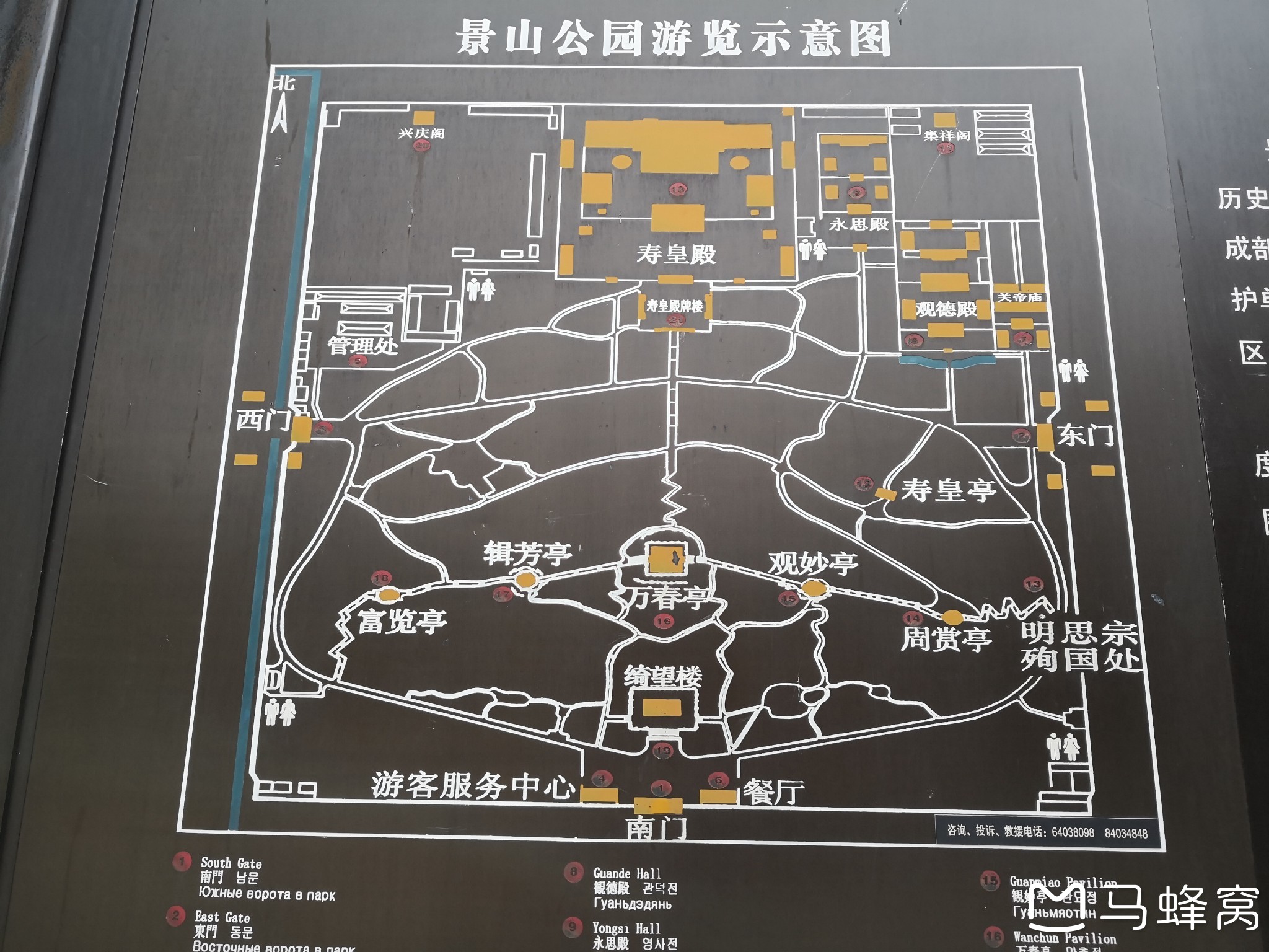 逛北京景山公园,观故宫全貌,览崇祯皇帝自缢处的歪脖树
