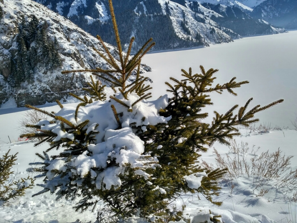 新疆行记|从沙漠火洲到雪域天山,来场冰与火的洗礼