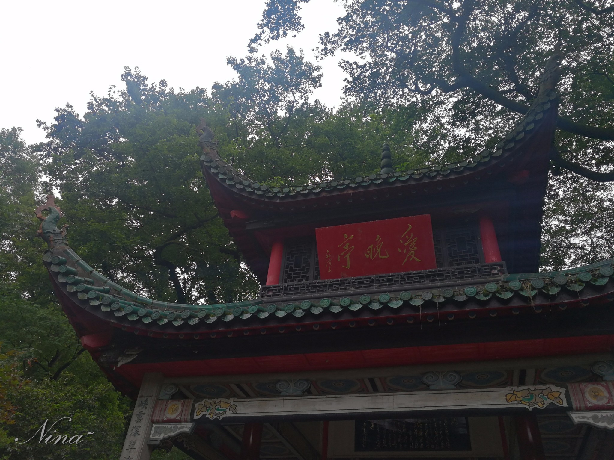 枫亭人口_人口普查