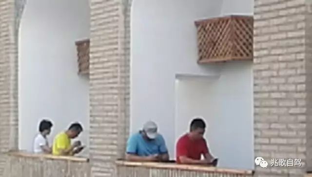 中亚5国总gdp_中亚牧羊犬