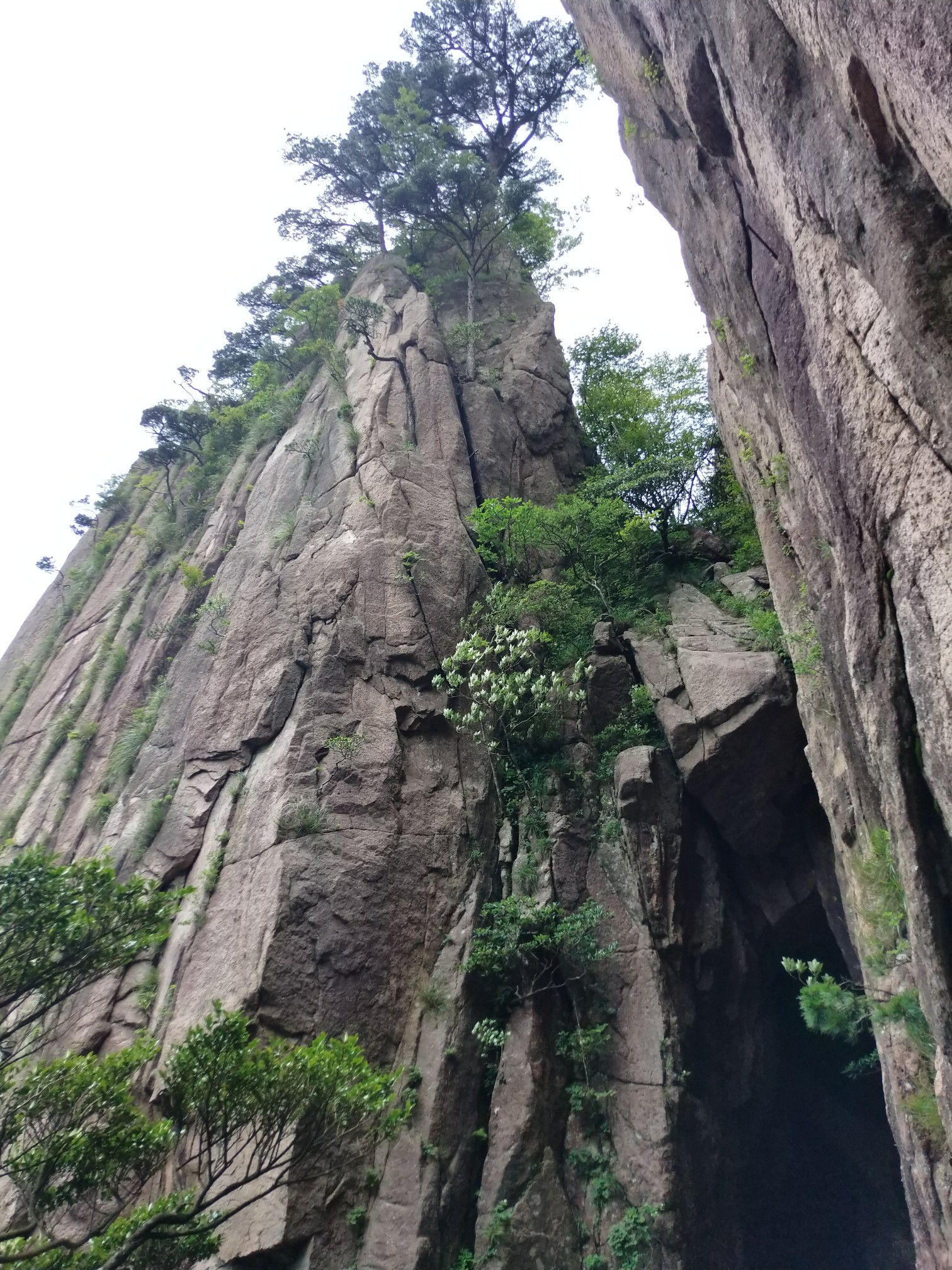 黄山市有多少人口_我的镜头里的黄山 一(2)