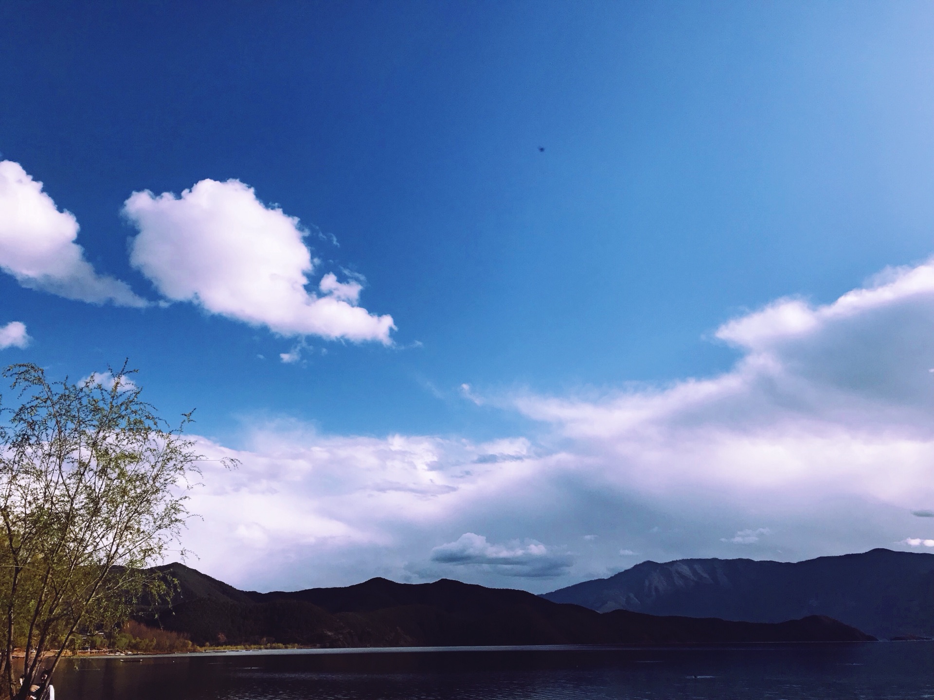 wKgBEFrbKESAMdo2AAd408VJAkA69.jpeg?imageView2%2F2%2Fw%2F600%2Fh%2F600%2Fq%2F90