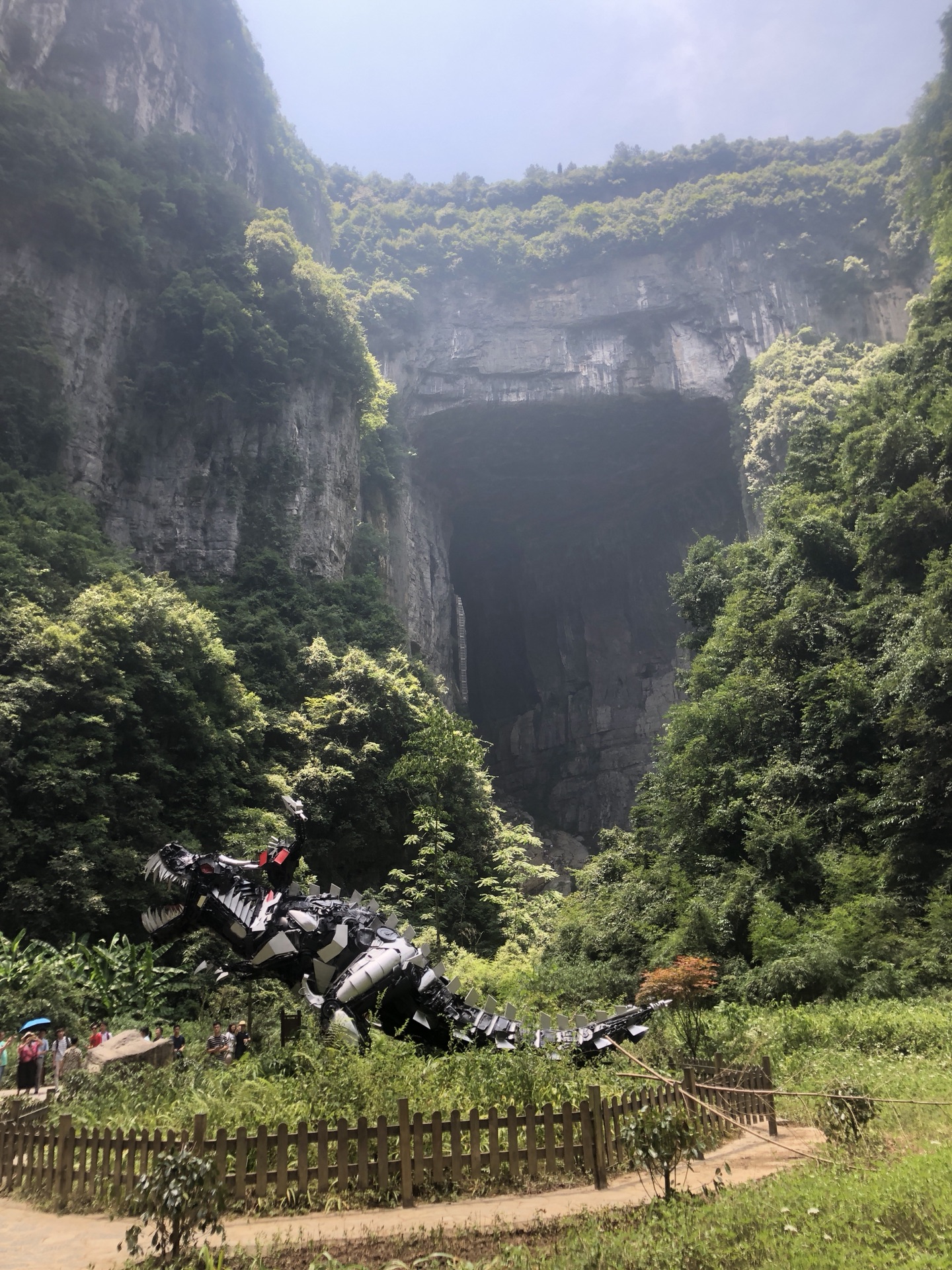 鹰有多少人口_北流隆盛镇有多少人口(3)