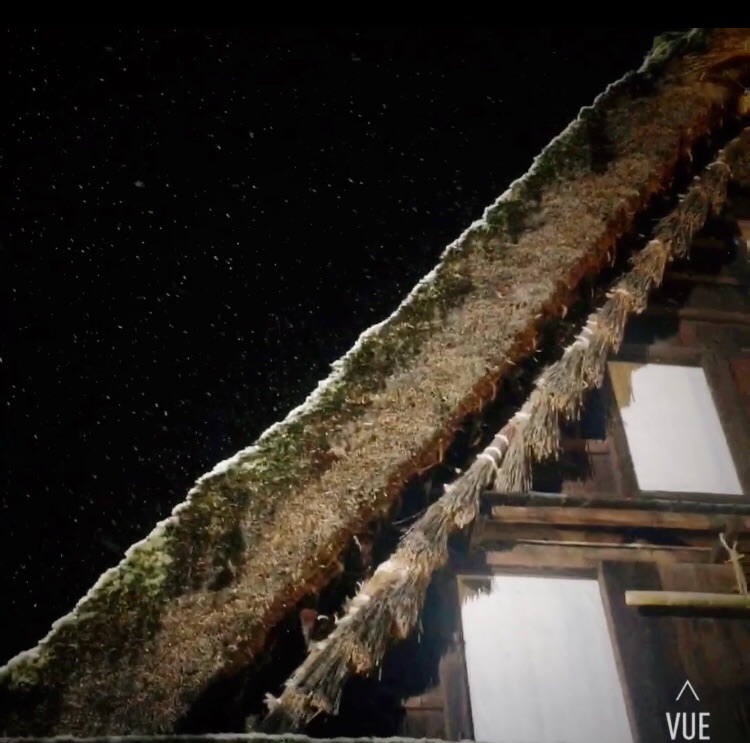 你压到我的触角了!的游记 - 马蜂窝