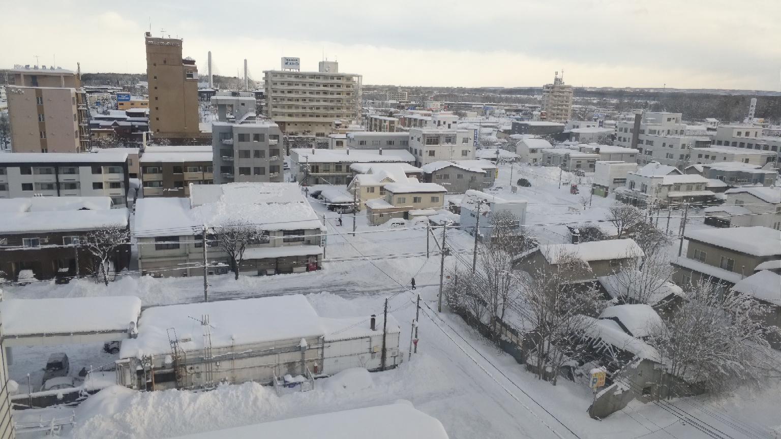 札幌人口多少_人口普查(3)