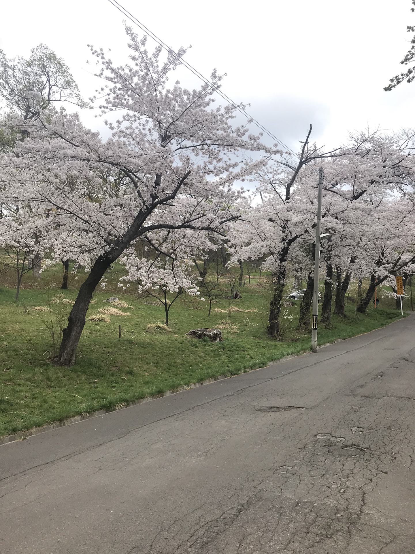 北海道游记图片