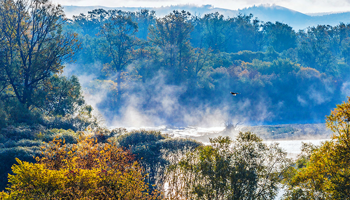 wKgBEFrNbzCAOviZAAf_LRZxACs91.jpeg?imageView2%2F2%2Fw%2F600%2Fh%2F600%2Fq%2F90