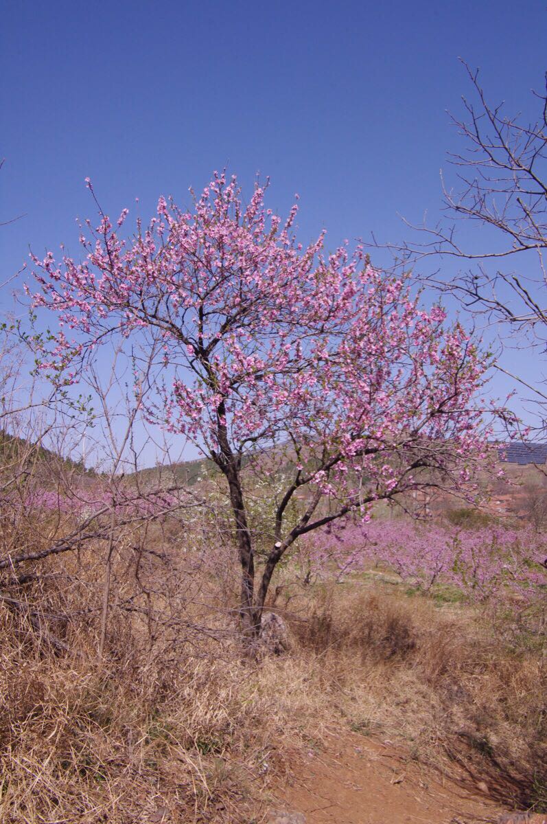 wKgBEFrSLVmAIqPVAAV5PcZ81wQ17.jpeg?imageView2%2F2%2Fw%2F600%2Fh%2F600%2Fq%2F90