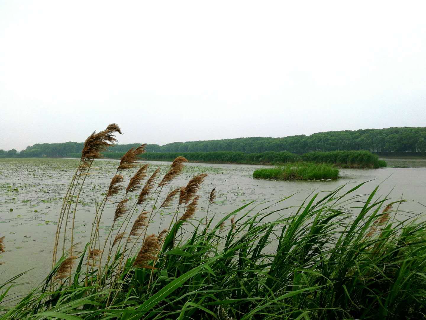 洪湖蓝田生态旅游风景区    
