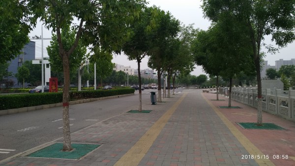 河间游玩攻略,河间游玩攻略一日游