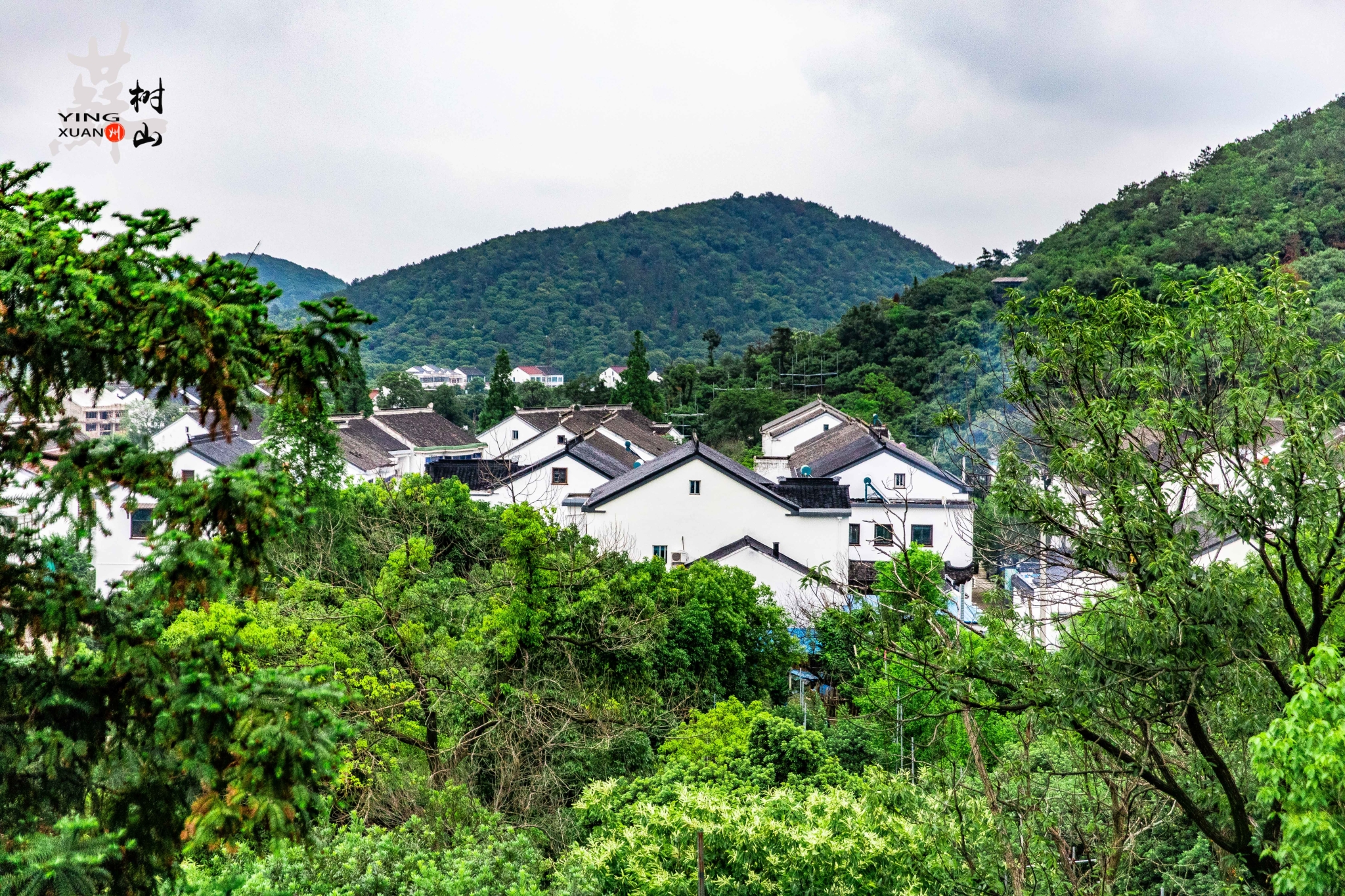 从小生活在 江南 ,来过 苏州 很多次,树山生态村还是第一次,起先对