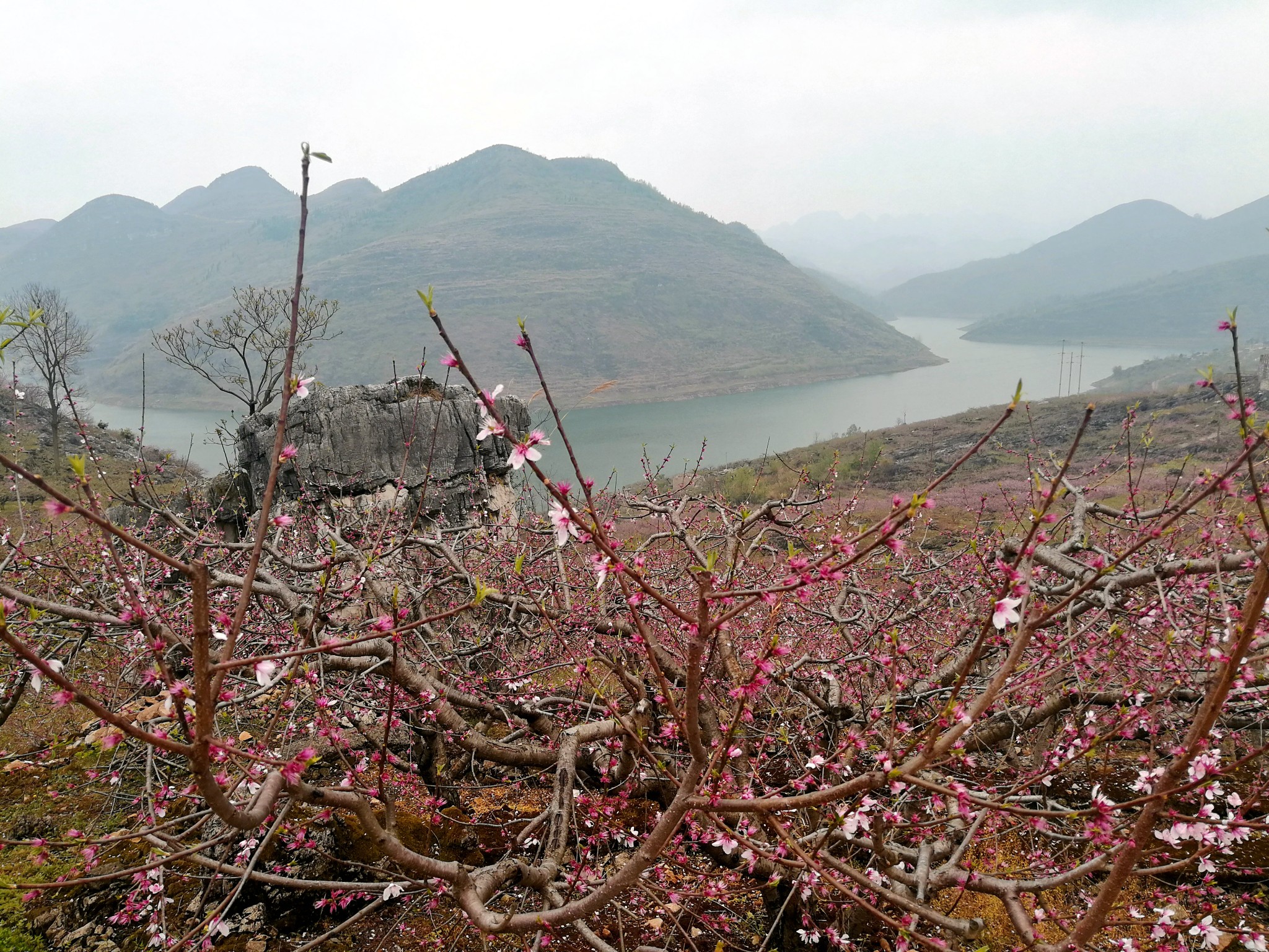 安顺普定桃花岛--一个美丽的地方