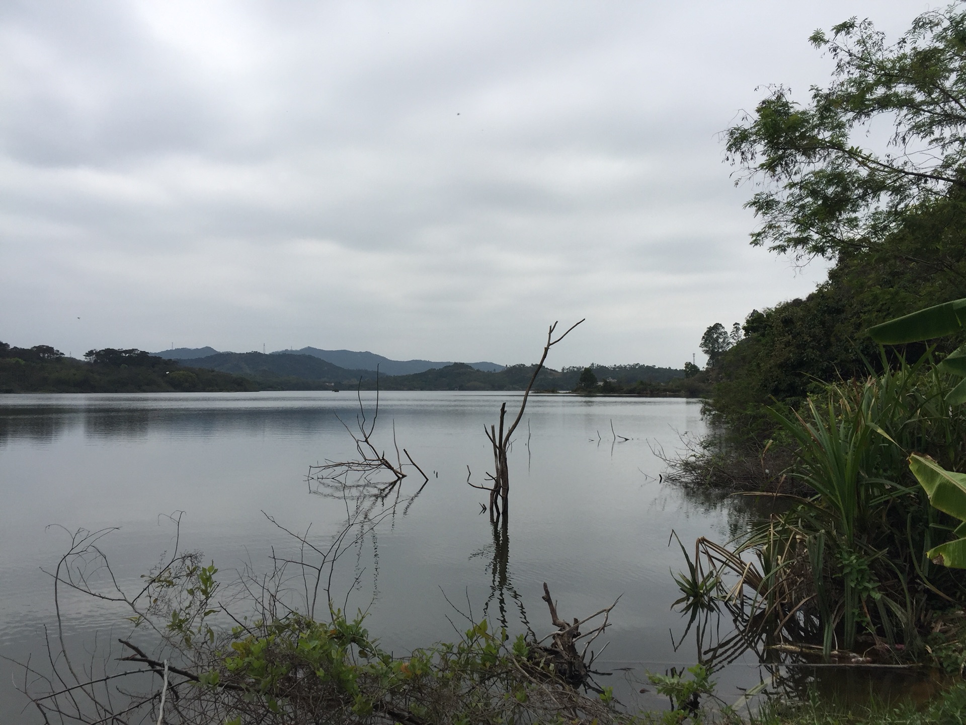 合水白牛塘水库,绕行一圈.银湖山庄,阳春旅游攻略