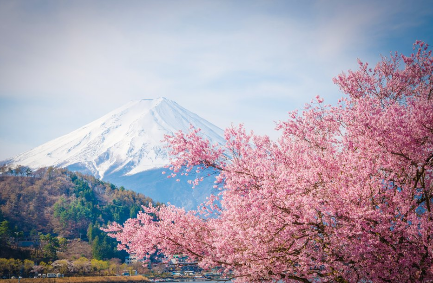 富士山下有五个湖,湖光山色,景色十分美丽.