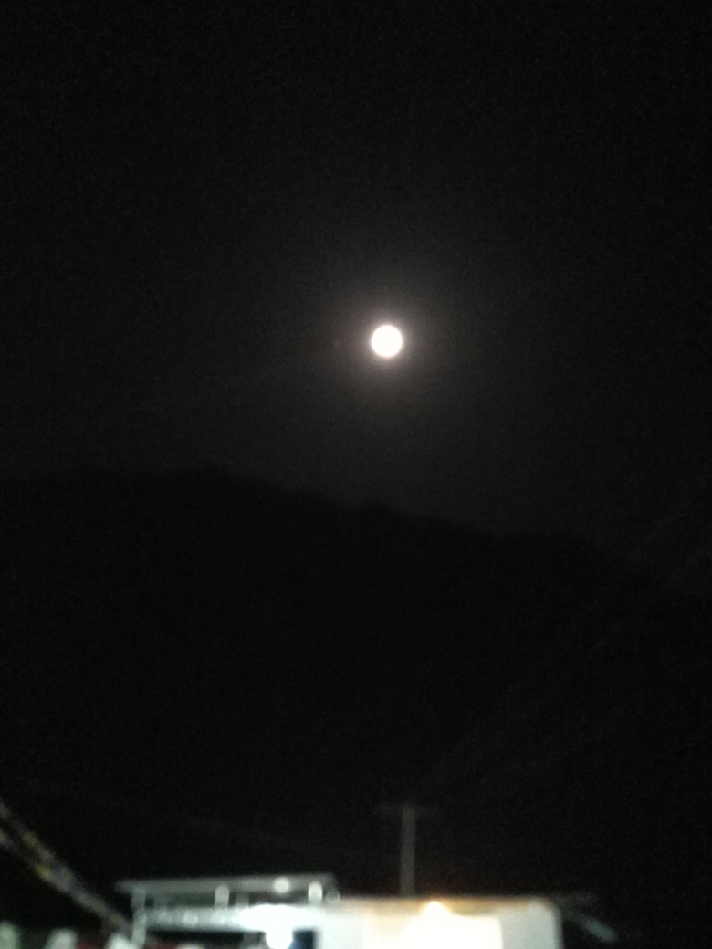 晚上,院子里的月亮