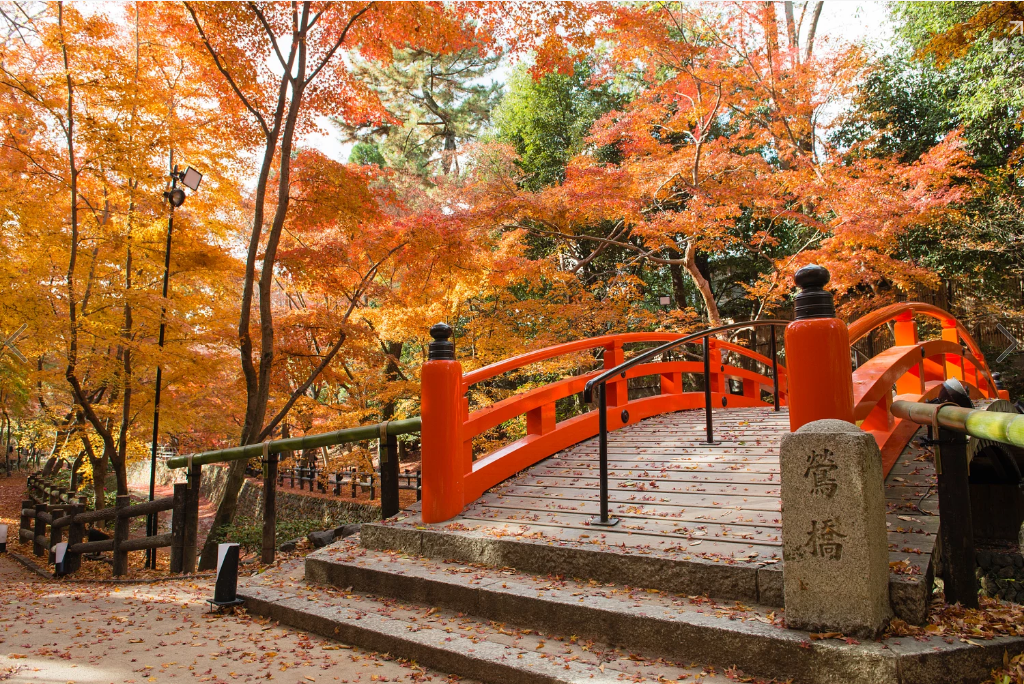 游览京都经典必去景点深度小众体验景点 京都岚山 金阁寺 贵船神社一