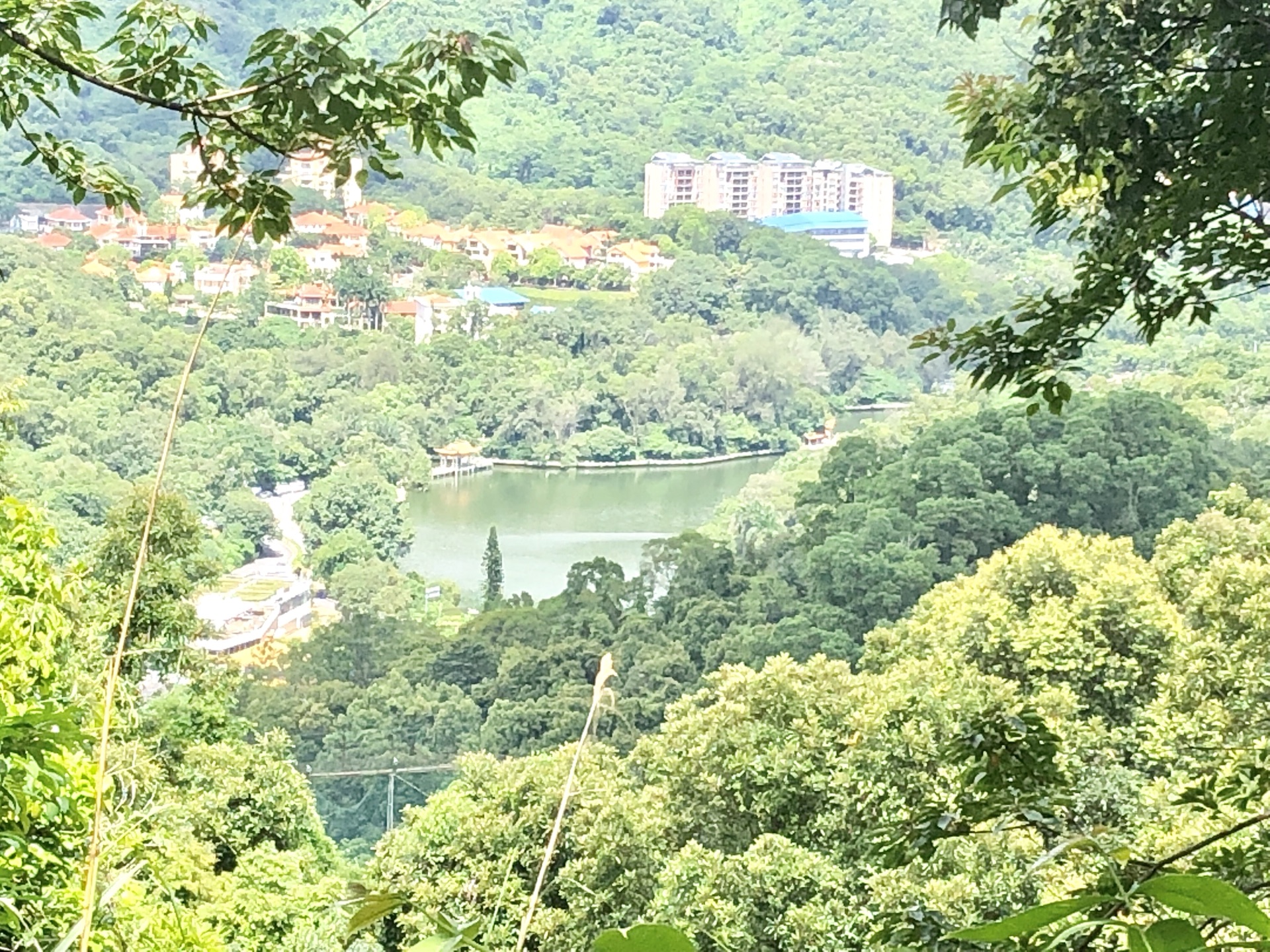 暴走银湖山郊野公园 不一样的风景