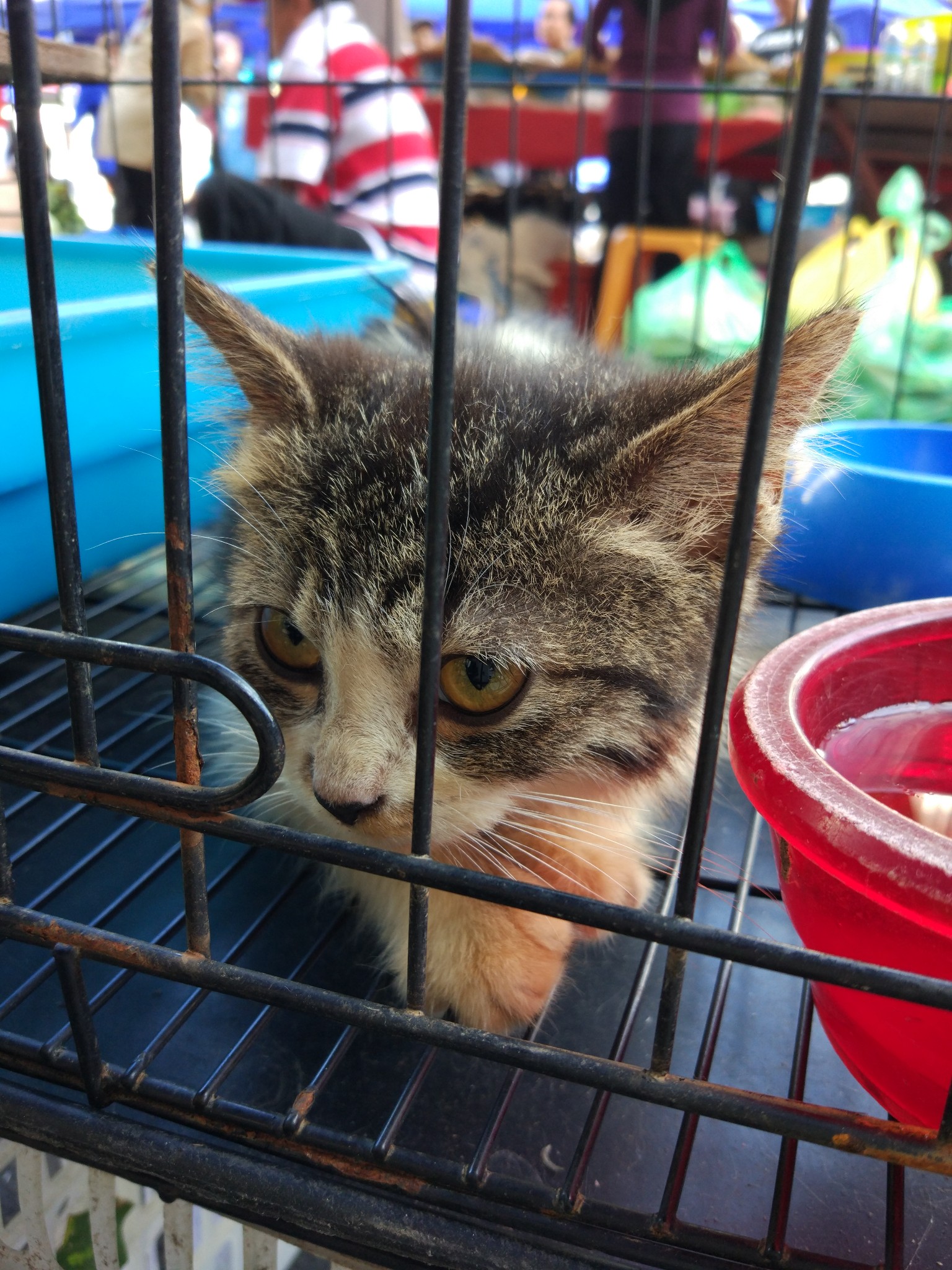 猜成语图片落日路_看图猜成语(3)