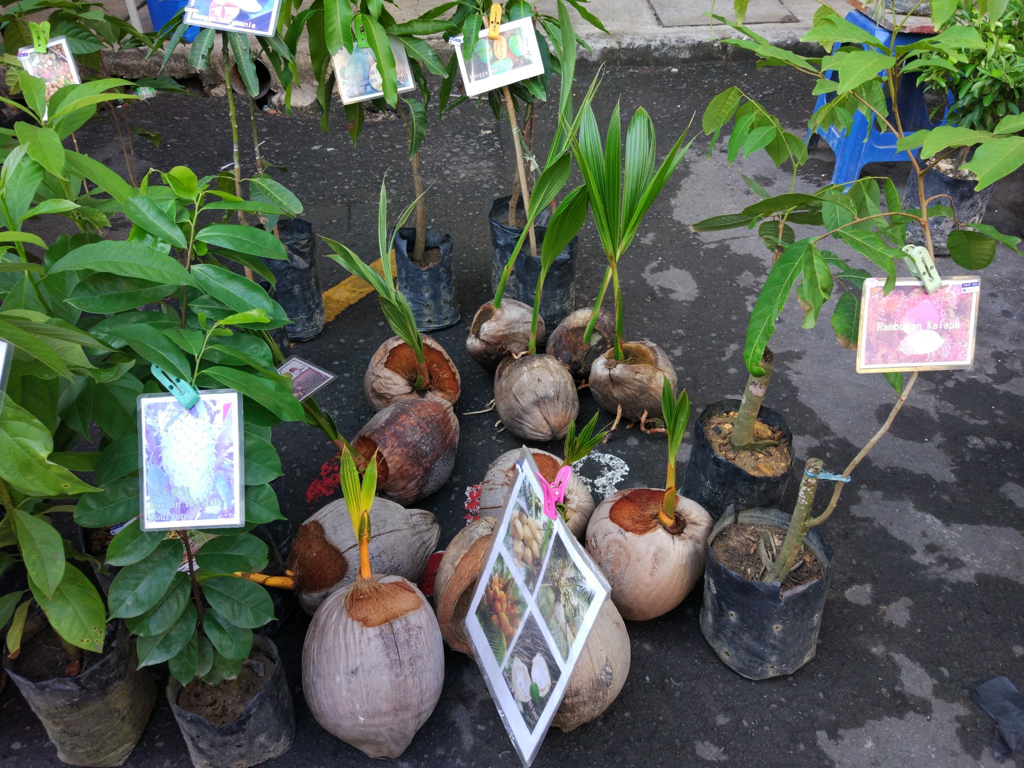 猜成语图片落日路_看图猜成语(3)