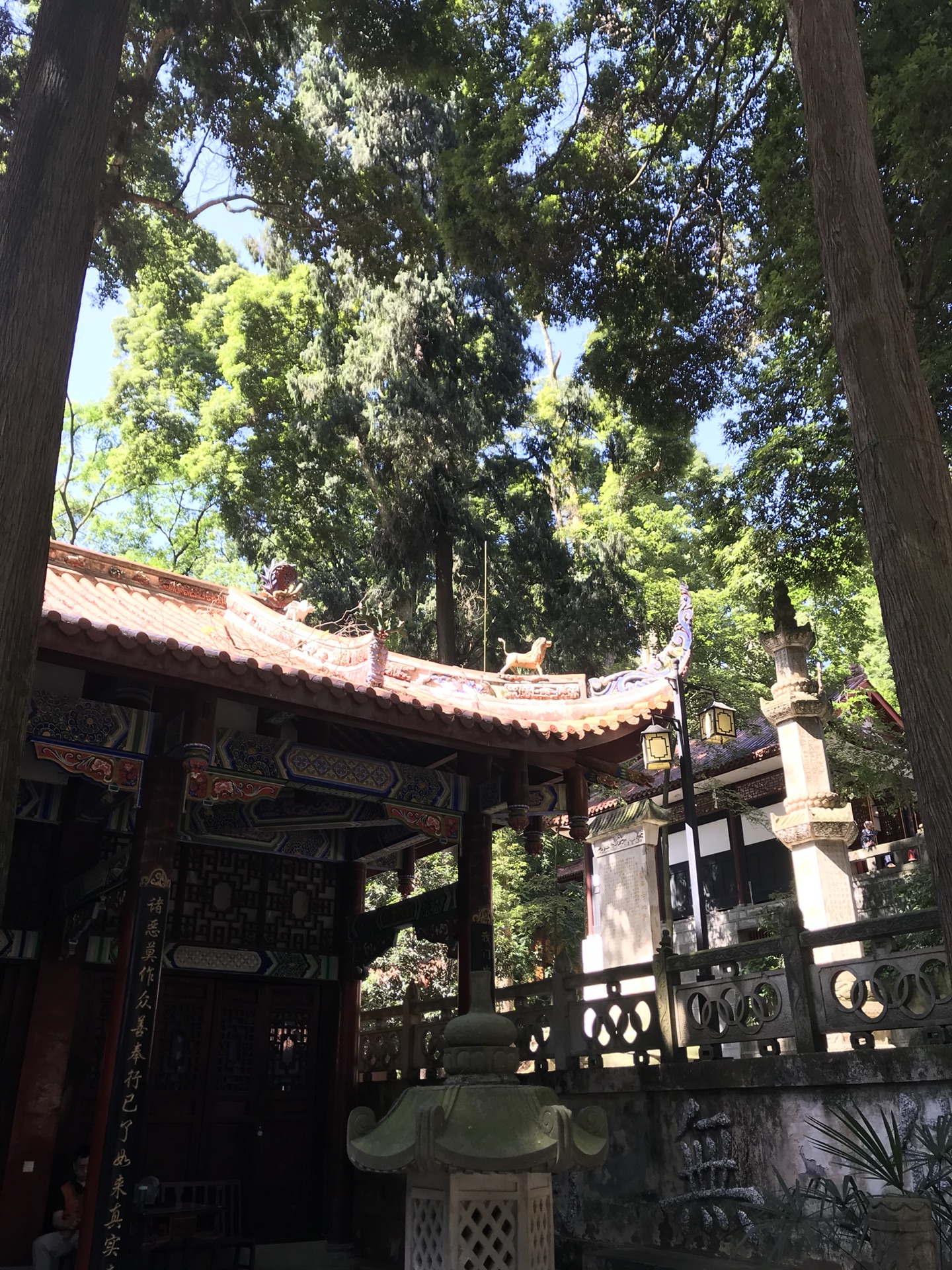 青城山中一夜 民宿花间树里 普照寺 亲子老人周末休闲