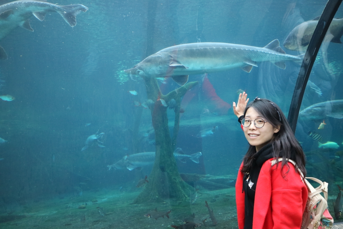 wKgBEFqDr1SAK5s4AAiu6qDc9Tc41.jpeg?imageView2%2F2%2Fw%2F600%2Fh%2F600%2Fq%2F90