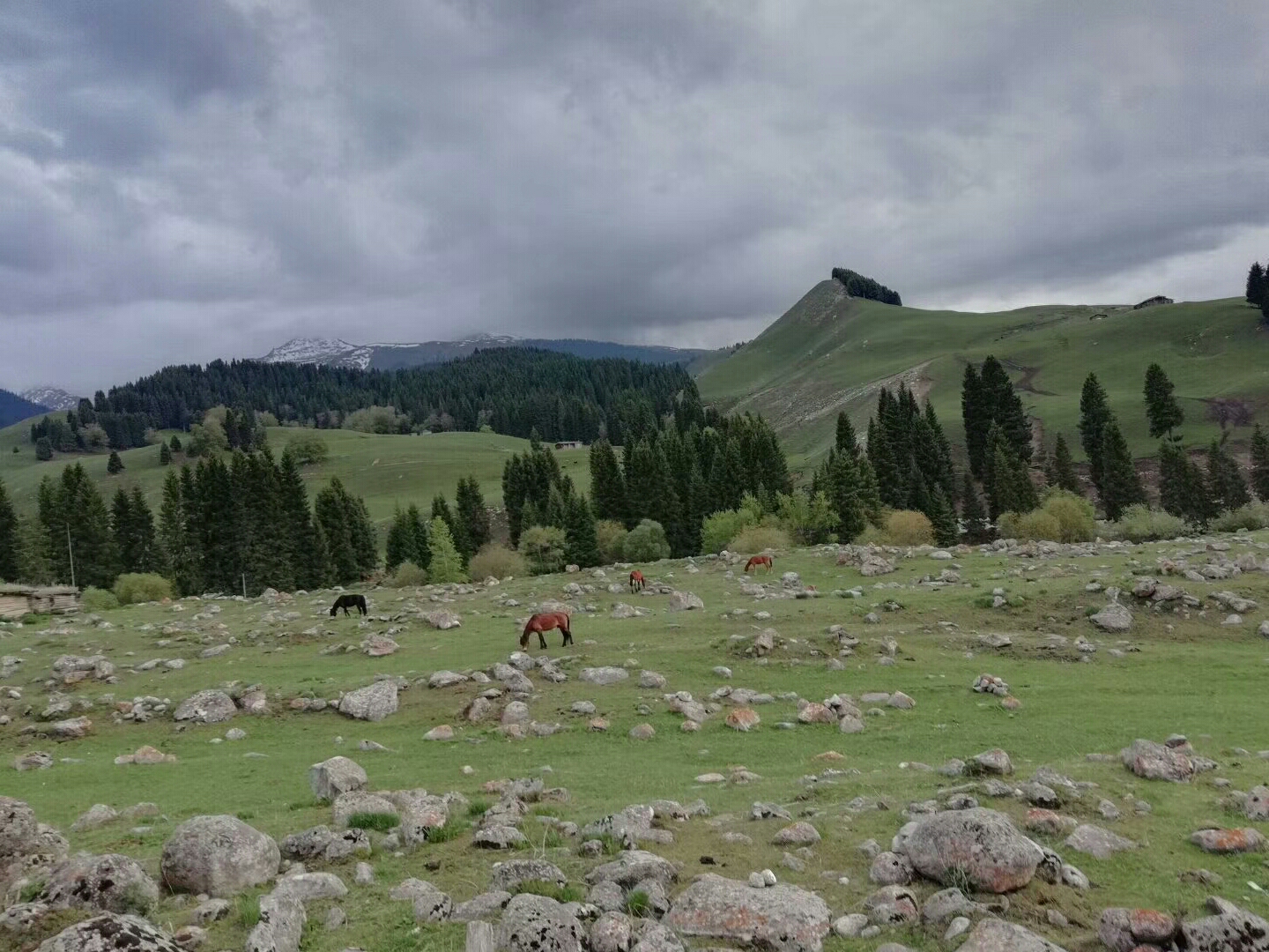 伊犁人均_伊犁风景
