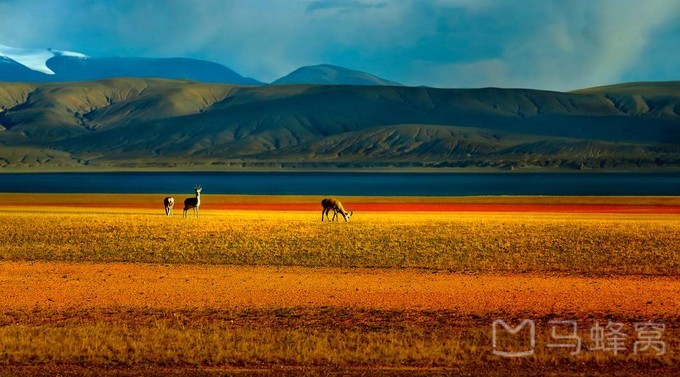 wKgBEFqAAKGAUsNdAAFB0GPd--022.jpeg?imageView2%2F2%2Fw%2F600%2Fh%2F600%2Fq%2F90