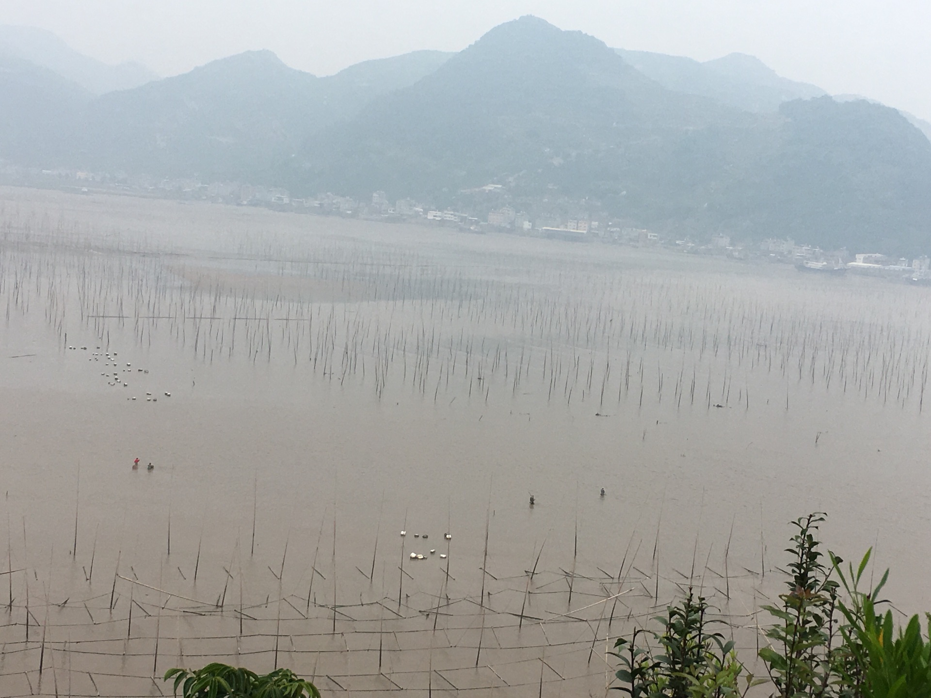 阴雨天气水墨霞浦