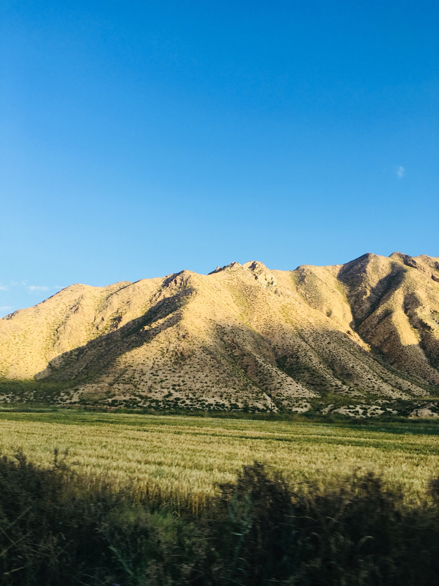 都兰简谱_都兰马头琴