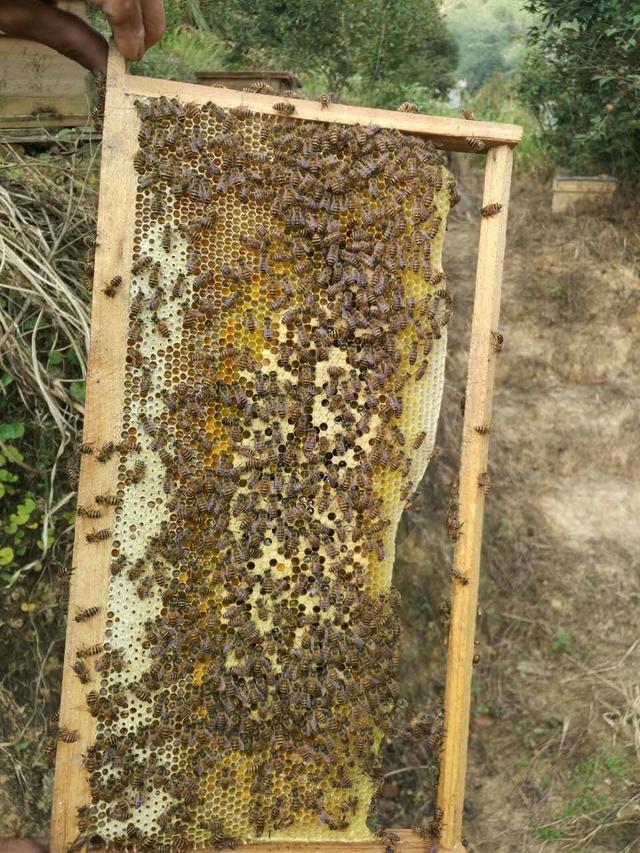 wKgBEFqACkyADzdUAAISVj2UQUU92.jpeg?imageView2%2F2%2Fw%2F600%2Fh%2F600%2Fq%2F90