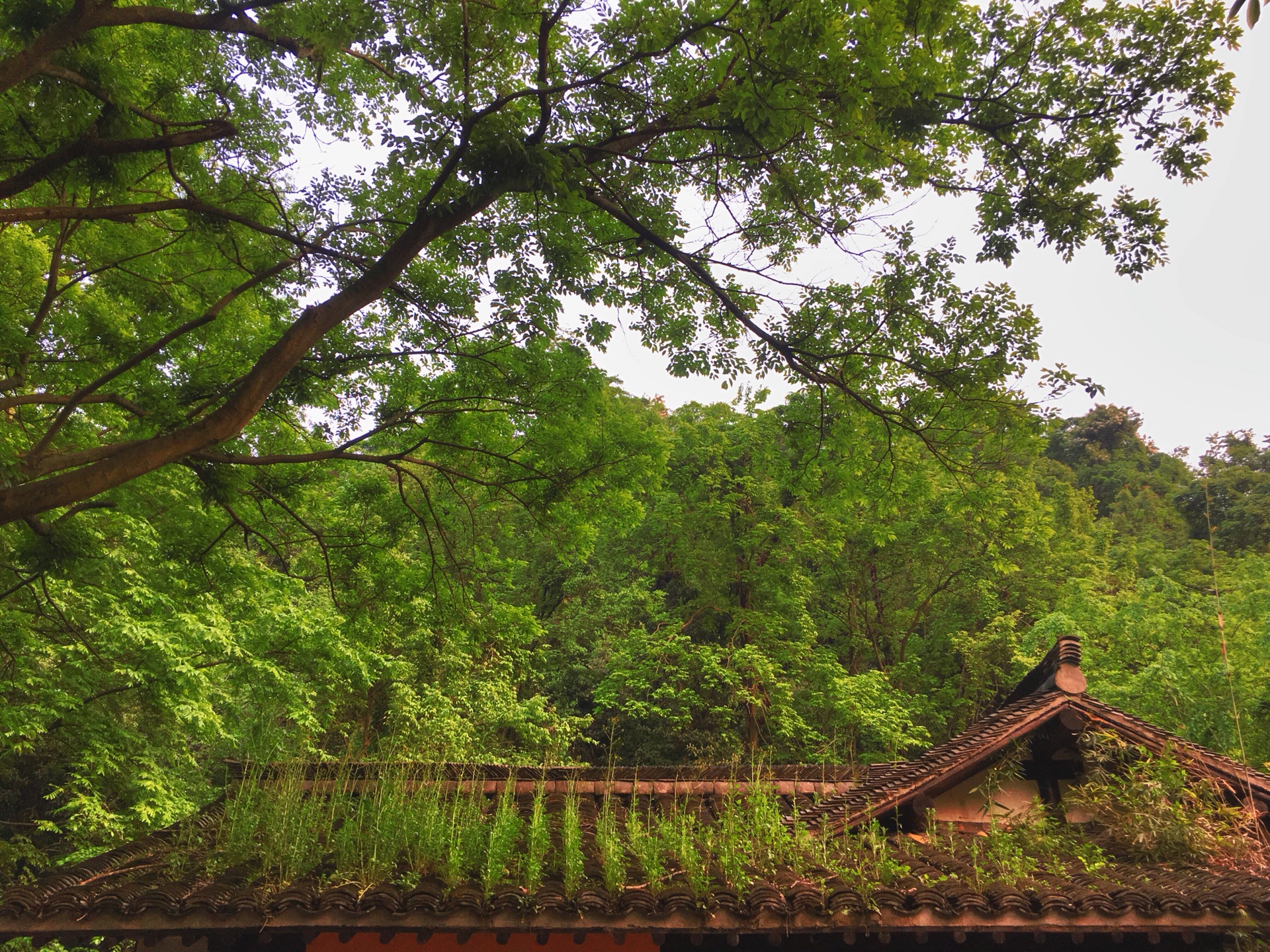 从灵隐寺到天竺三寺怎么走？需要多长时间
