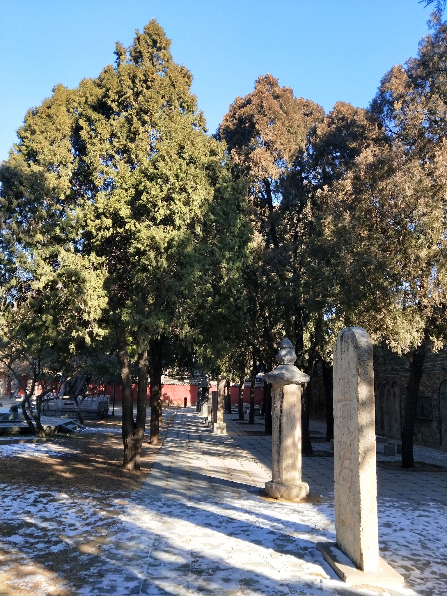 柏姓总人口_天津总人口曲线图(3)
