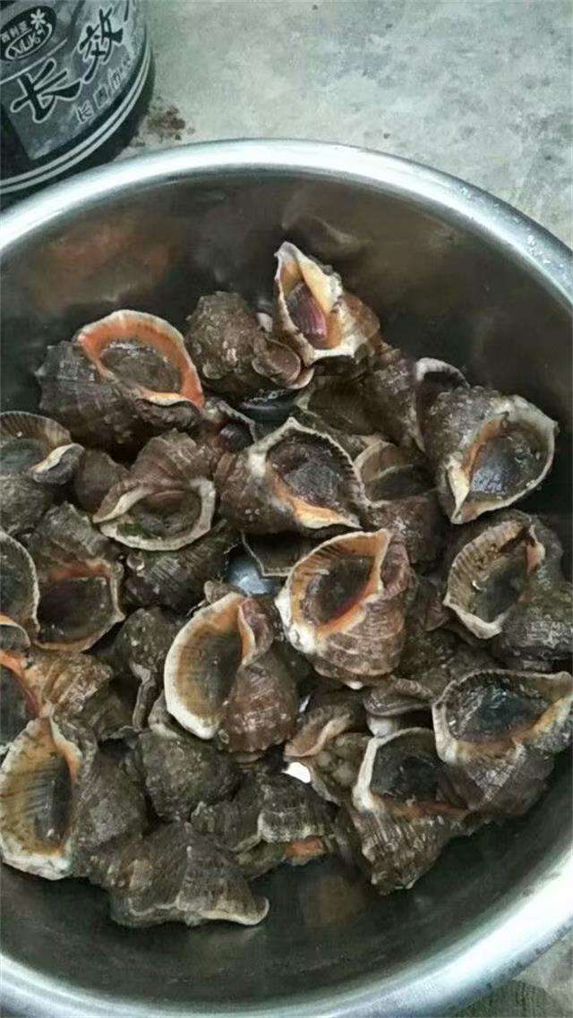 wKgBEFsgeYiAGEfvAAFrVg9LkmY11.jpeg?imageView2%2F2%2Fw%2F600%2Fh%2F600%2Fq%2F90