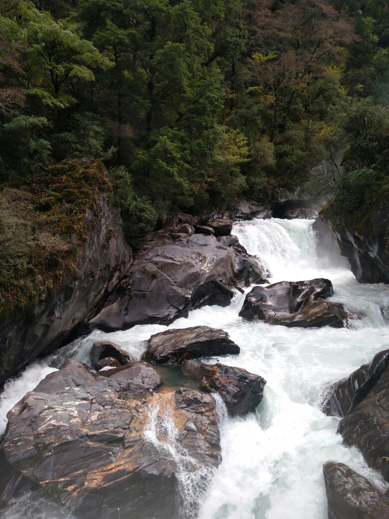 wKgBEFrugV-AL_puAAtOPUEQ6nU91.jpeg?imageView2%2F2%2Fw%2F600%2Fh%2F600%2Fq%2F90