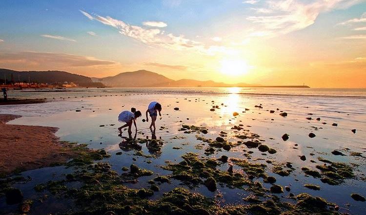 福州连江赶海一号门票(滩涂赶海 农家生态体验)
