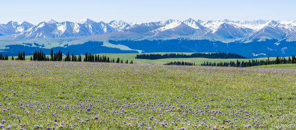 赛里木湖位于哪个镇 wKgBEFsof9eAQEZ2AA9ODIiTlHU16.jpeg?imageView2%2F2%2Fw%2F600%2Fh%2F600%2Fq%2F90