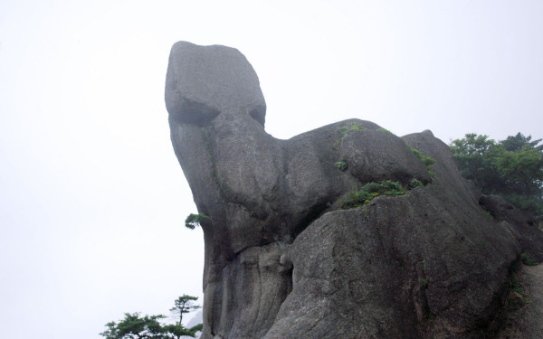 黄山四绝是什么,黄山四绝是什么?