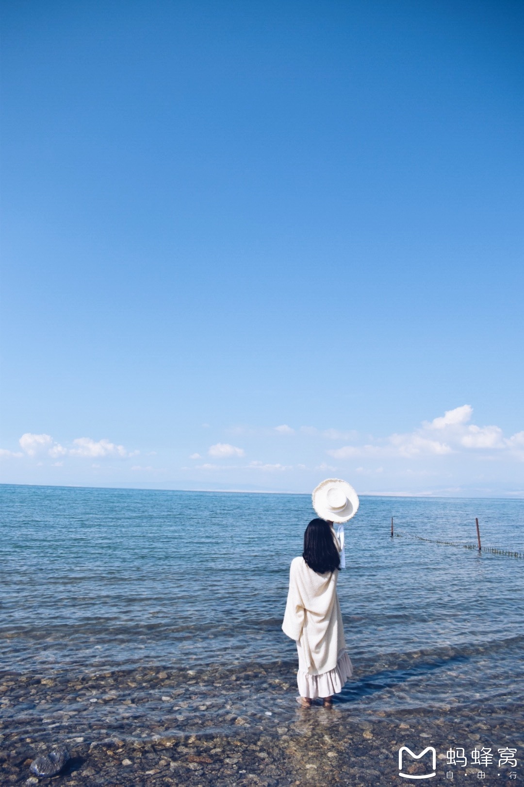 青海湖          