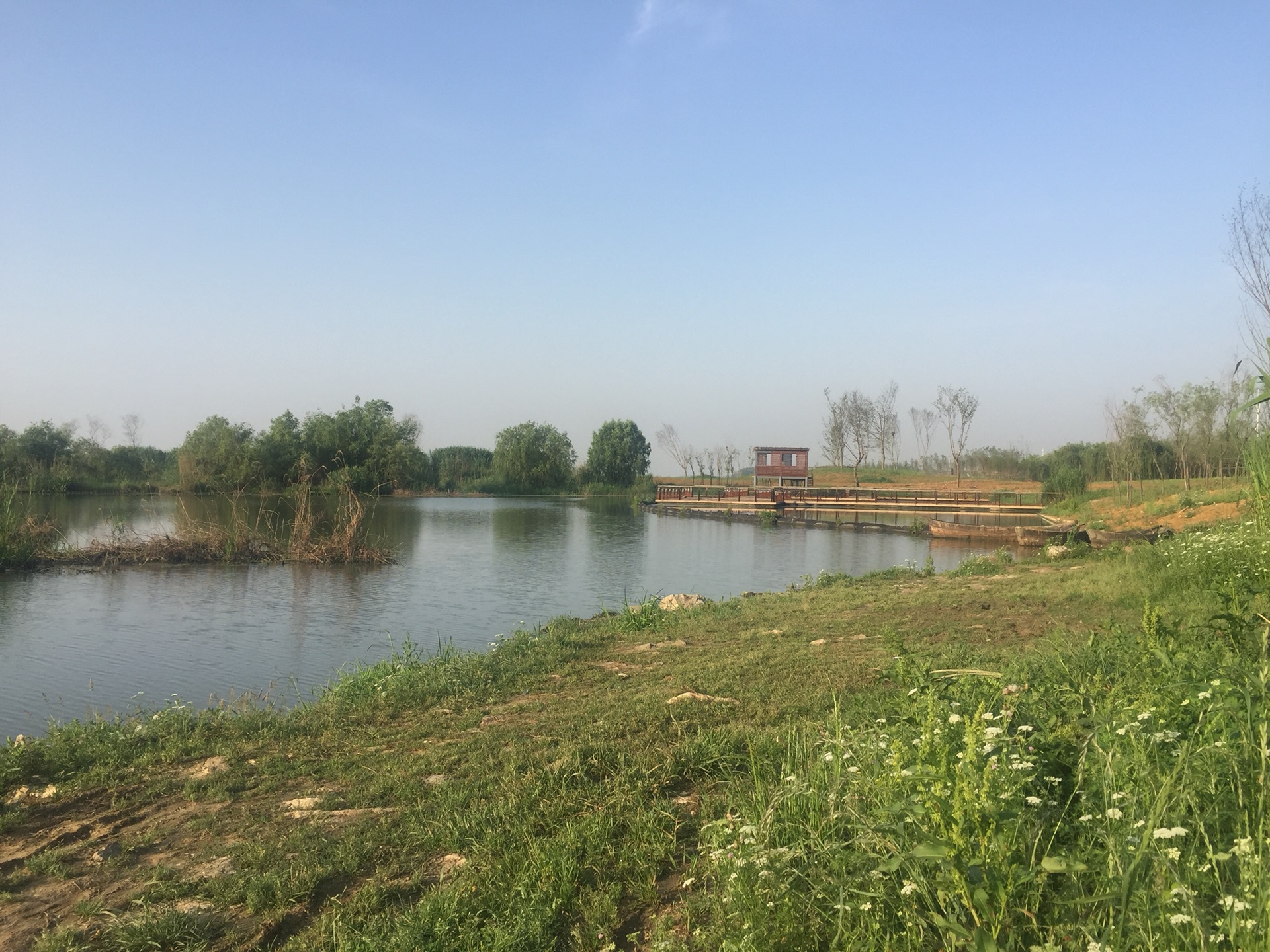 合肥滨湖湿地公园