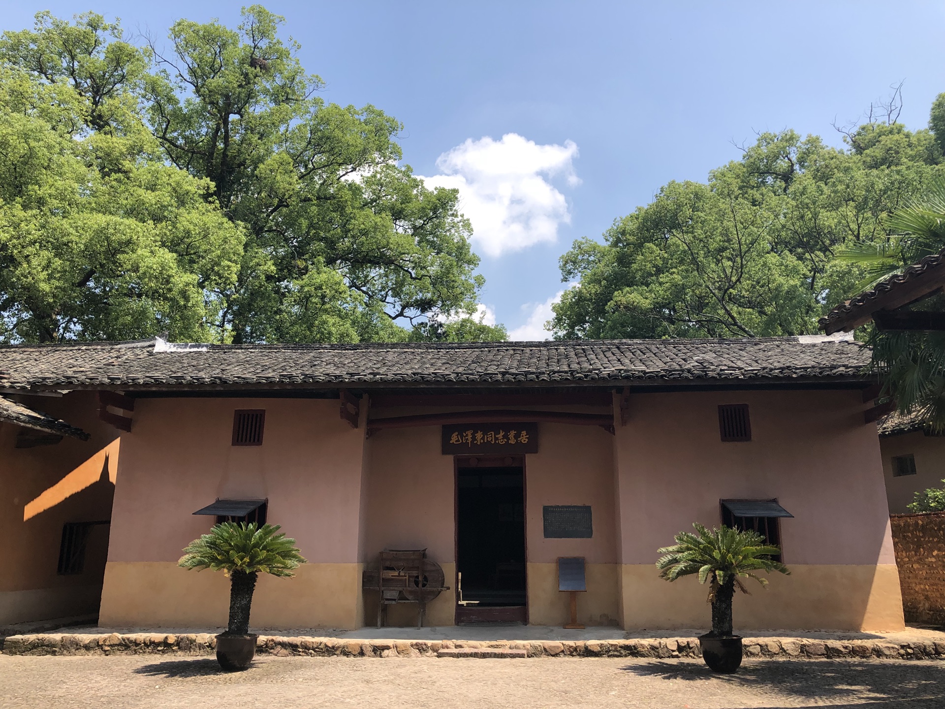 沙洲坝 马蜂窝
