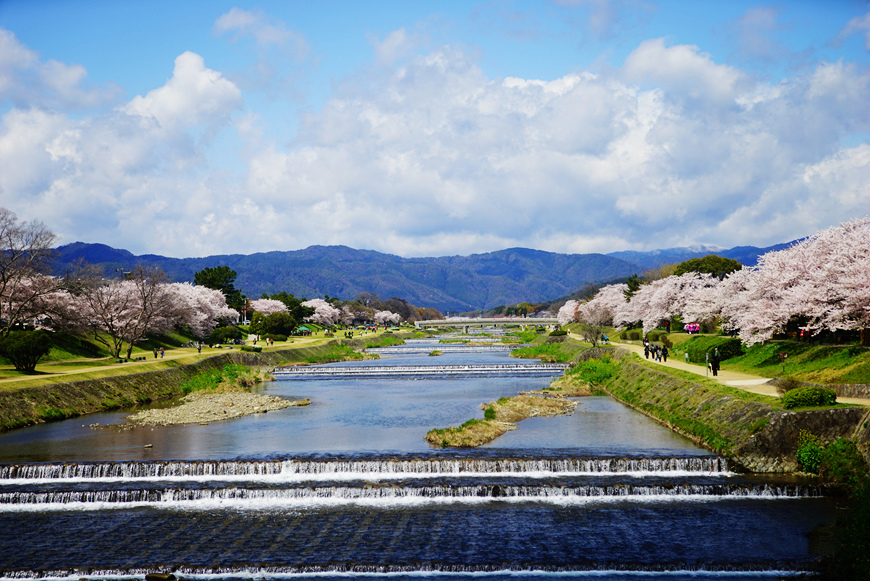            京都-鸭川