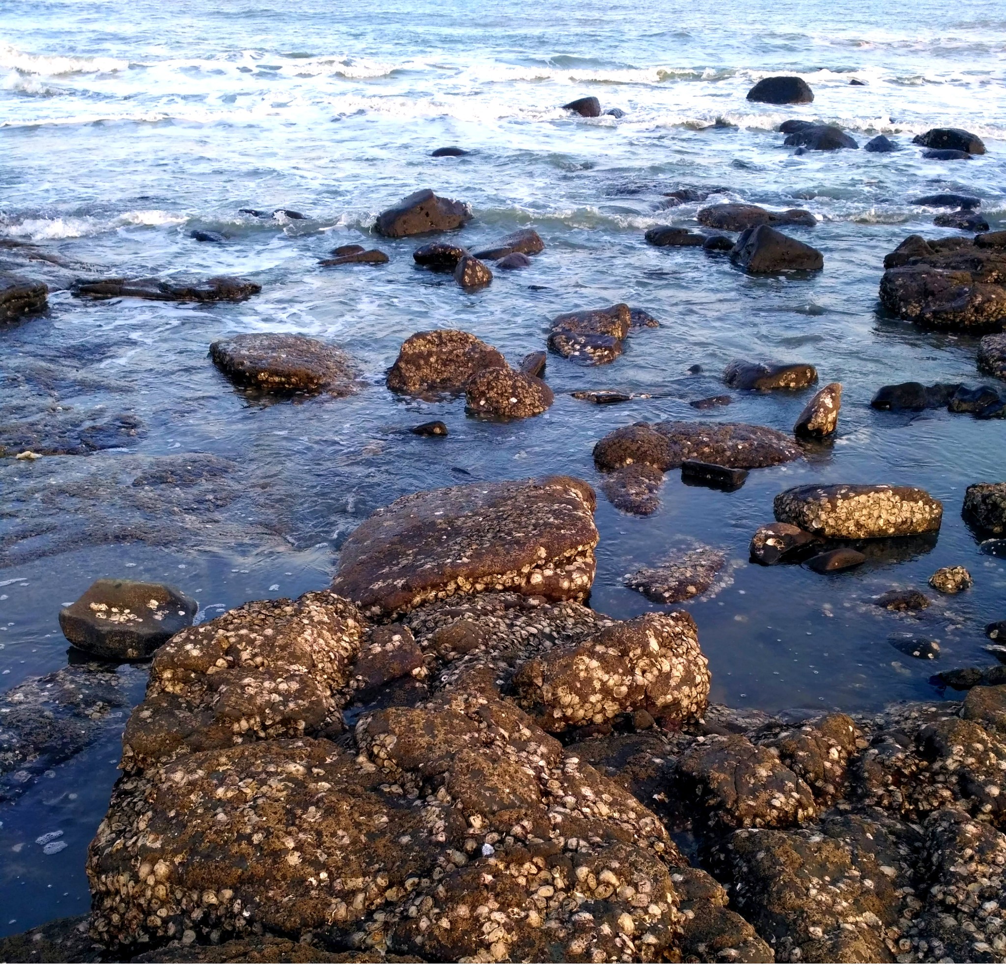 踏着形状不一的黑石头行走在海岸边.