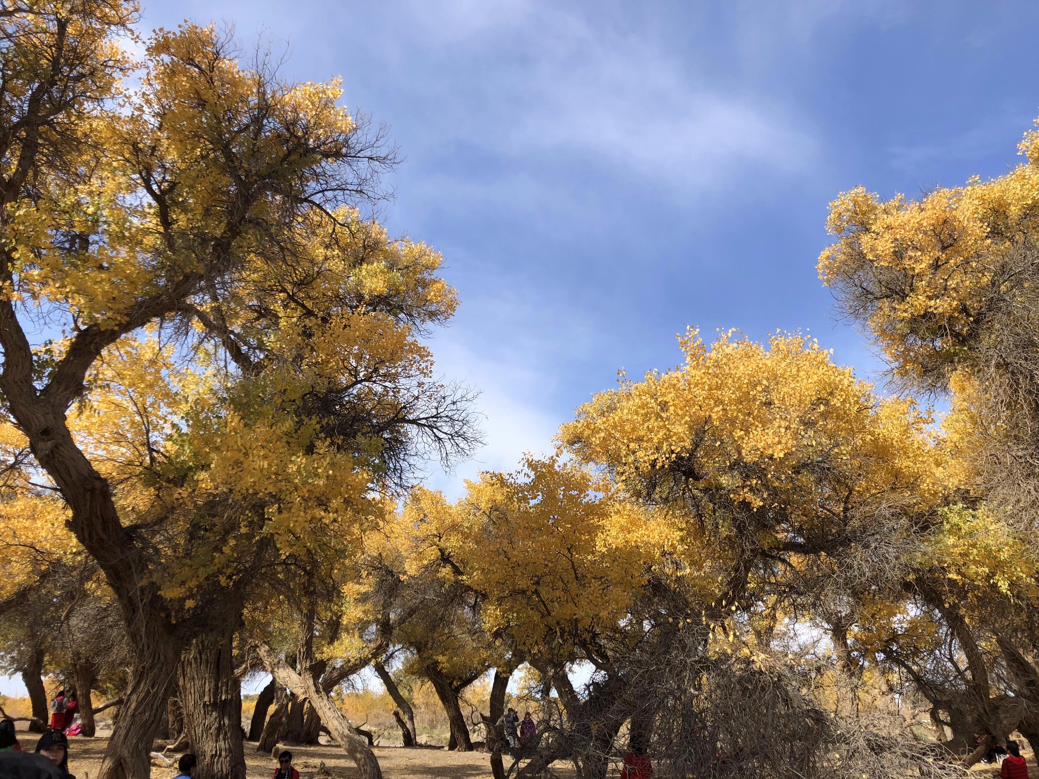 wKgED1vpQGiAP_nhABPanJw4UKo31.jpeg?imageView2%2F2%2Fw%2F600%2Fh%2F600%2Fq%2F90