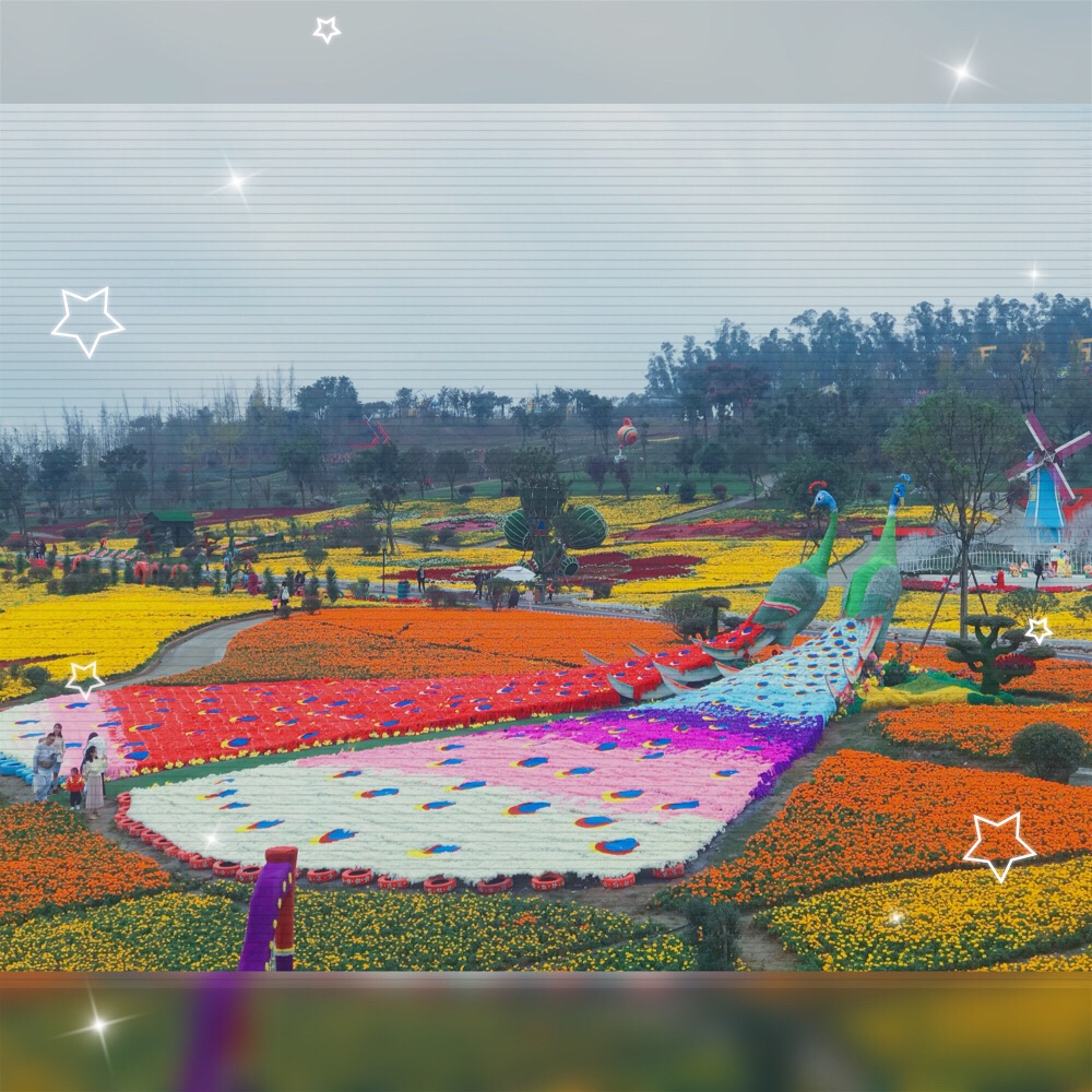 音乐百花谷731473147314,成都旅游攻略