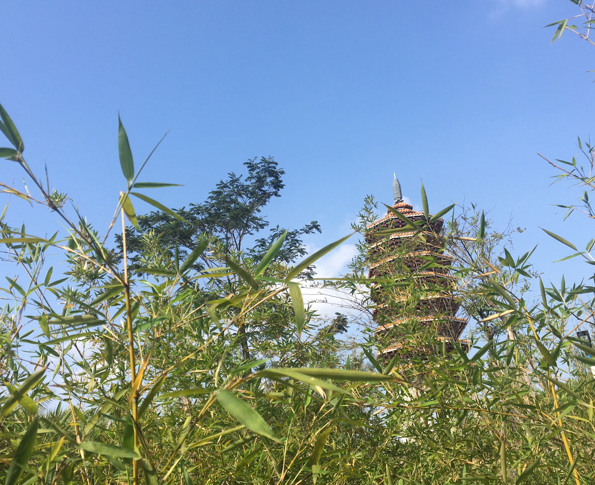 中山市古镇镇2019年GDP_中山市古镇镇