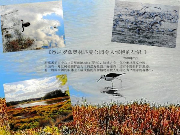 足迹游玩攻略,足迹游玩攻略大全