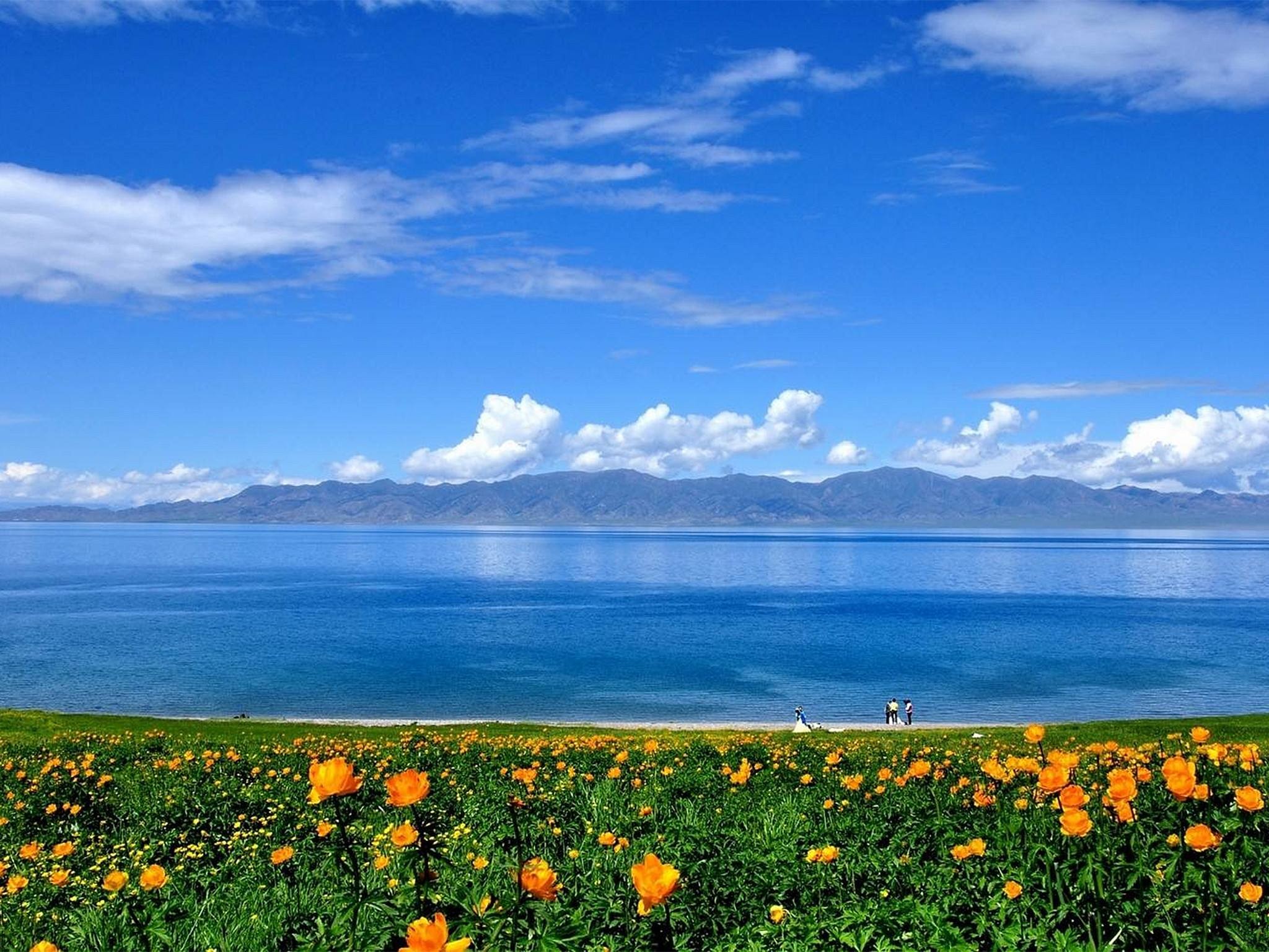 wKgED1uI-JSAKtKYAAjAYxNCVpQ27.jpeg?imageView2%2F2%2Fw%2F600%2Fh%2F600%2Fq%2F90