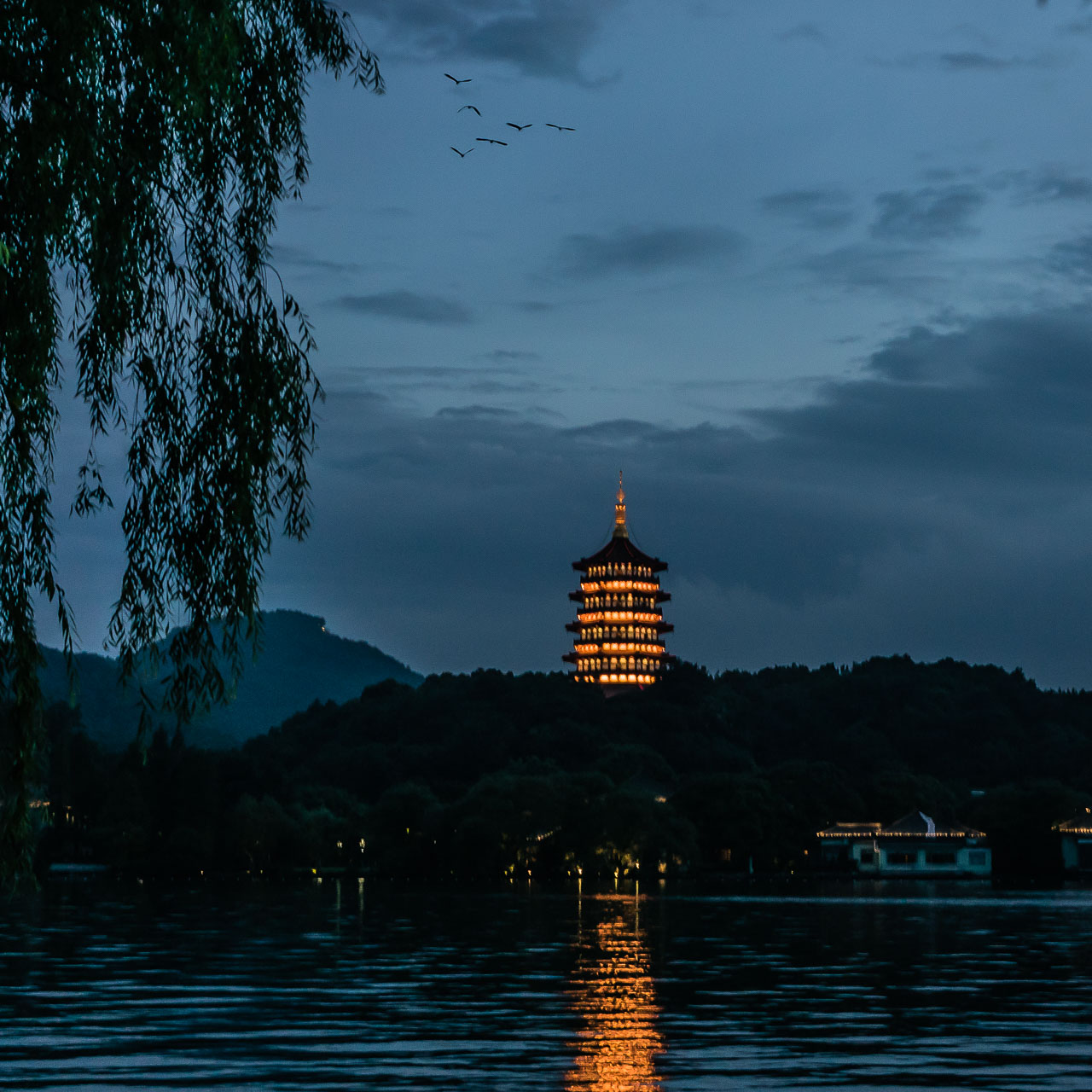 杭州西湖3-夜色: 柳浪闻莺,雷锋夕照,苏堤春晓,三潭印