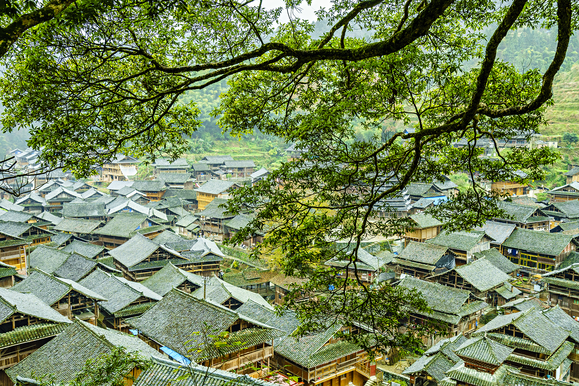 贵州有什么好吃的,贵州有哪些美食,贵州美食攻略 贵州有什么好吃的,贵州有哪些美食,贵州美食攻略