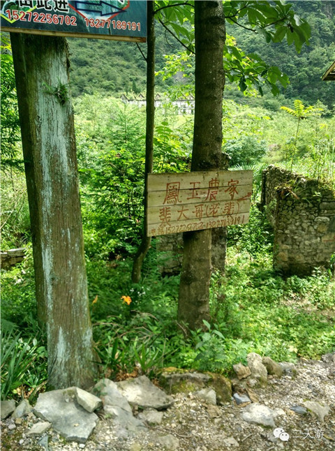 鹿院坪游玩攻略,鹿院坪游玩攻略 知乎